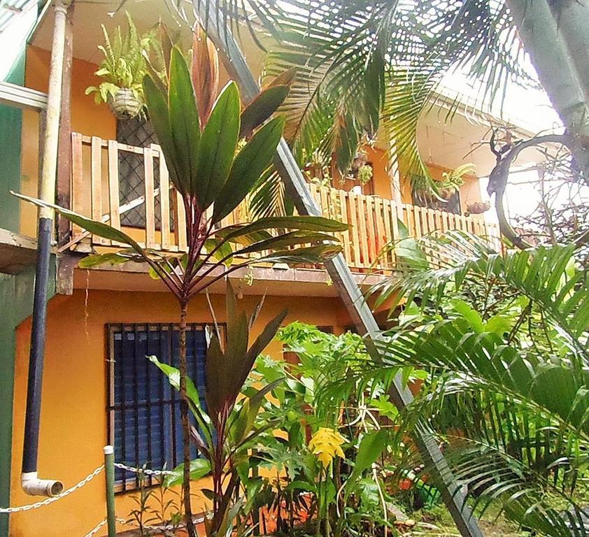 Cabinas El Muellecito Tortuguero Dış mekan fotoğraf