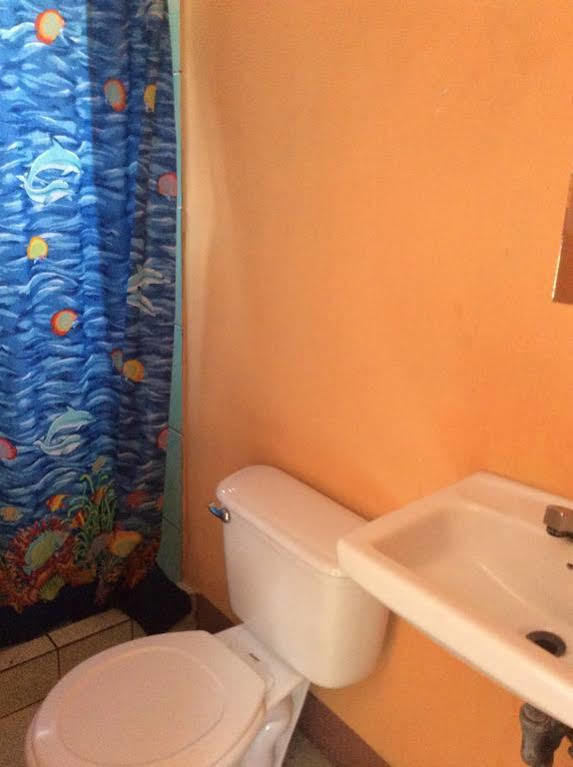 Cabinas El Muellecito Tortuguero Dış mekan fotoğraf