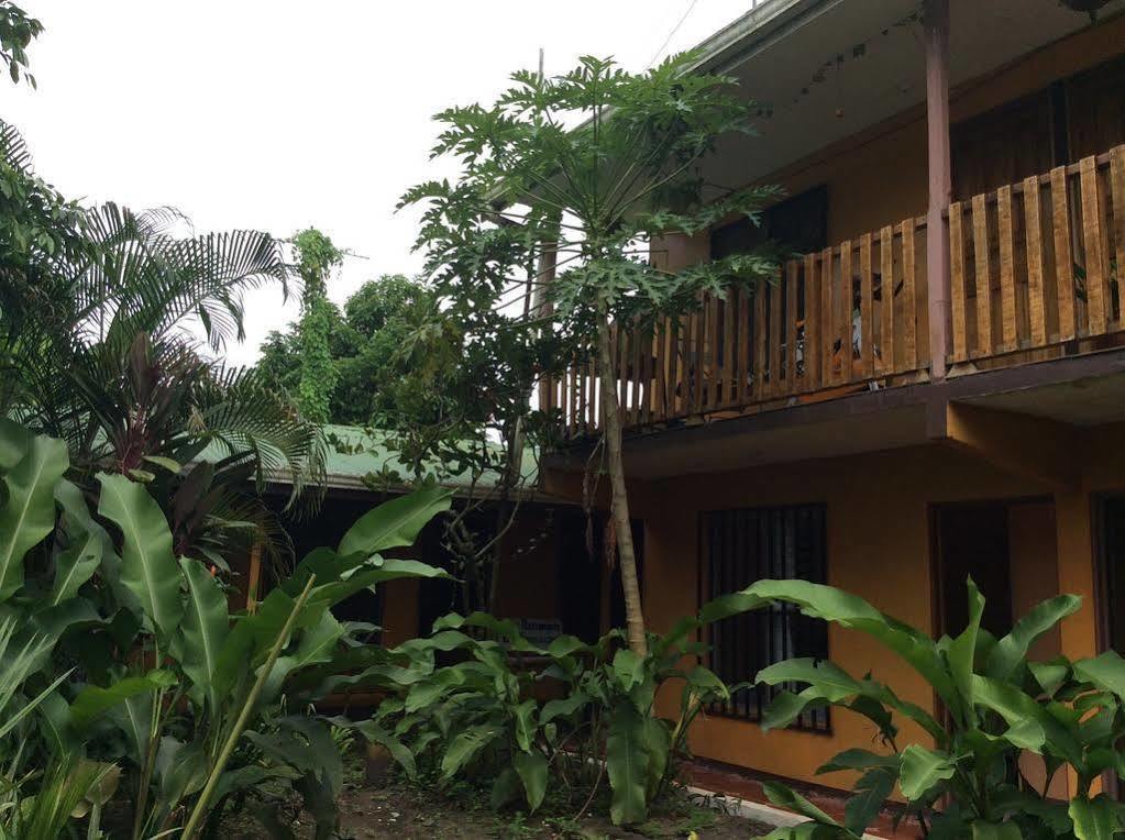Cabinas El Muellecito Tortuguero Dış mekan fotoğraf